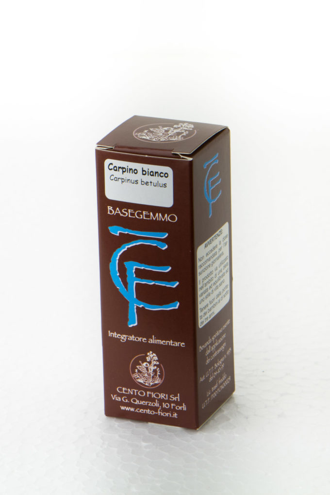 basegemmo carpino