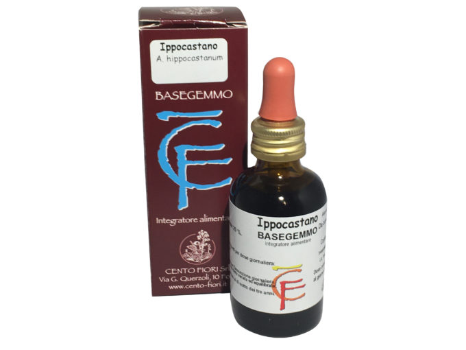 ippocastano
