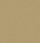 lepo cc 1 beige