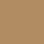 lepo cc 3 caramel