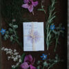 ethicalgrace 5petali bg 1