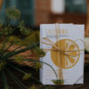 ethicalgrace california bg 1